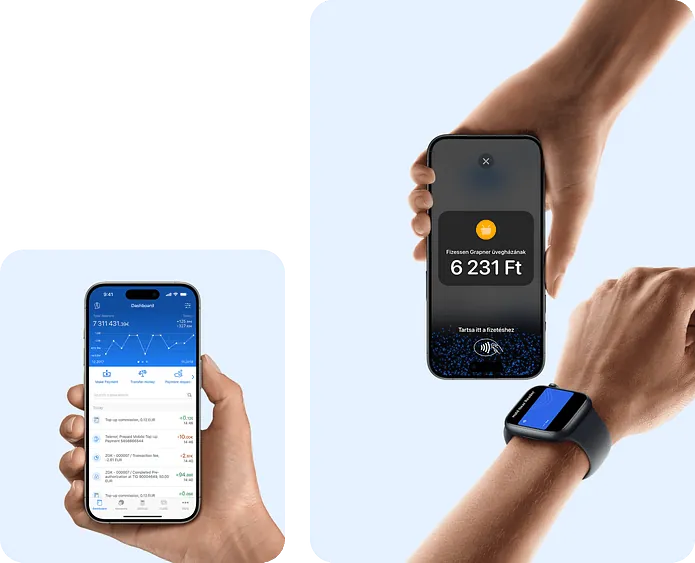 Open the myPOS app